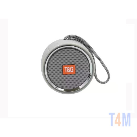 MINI SPEAKER PORTABLE TG-536 T&G GRAY